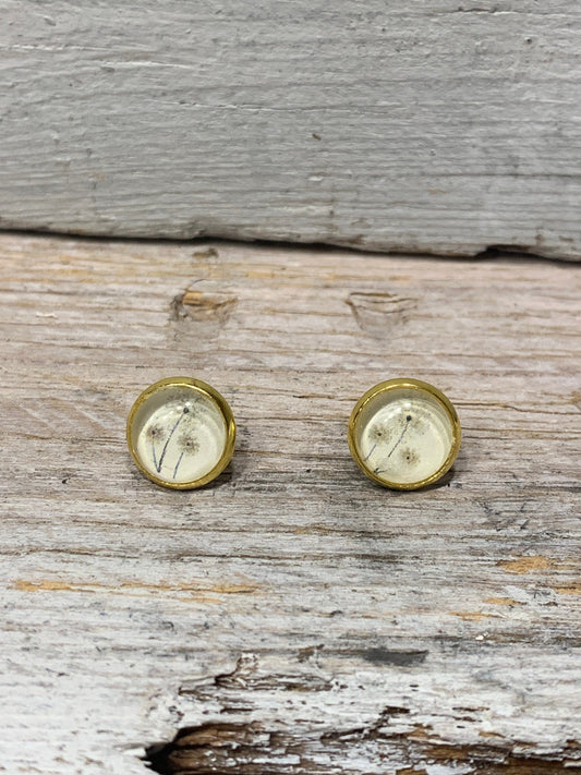 Zarte Ohrstecker mit Pusteblume Motiv – Natürlicher Look in Gold