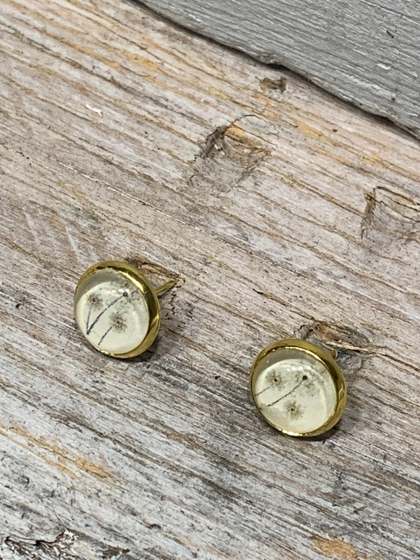 Zarte Ohrstecker mit Pusteblume Motiv – Natürlicher Look in Gold