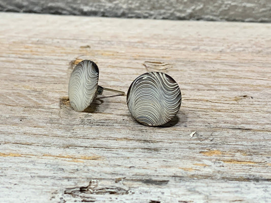 Edelstahl Ohrstecker mit Perlmutt-Welle – Stilvolle Ohrringe in Taupe